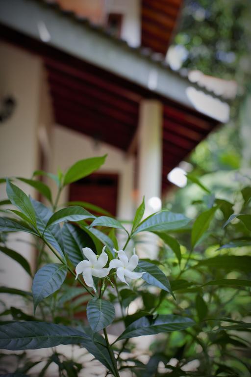 Binara Home Stay Polonnaruwa Exterior photo